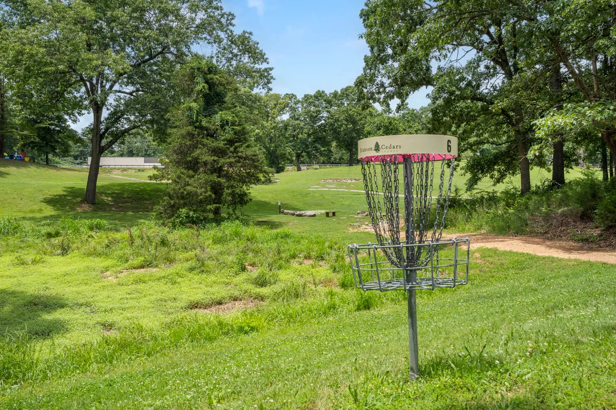 A disc golf basket set in a vibrant green field with trees in the background, signaling an active, outdoor recreational space. The open area evokes playful competition and scenic enjoyment.